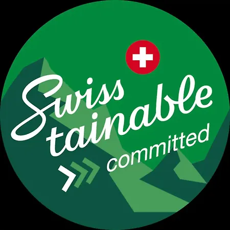 Magnifique Rénové Avec Vue Montagne Saas Fee